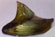 Image de Hyriopsis bialata